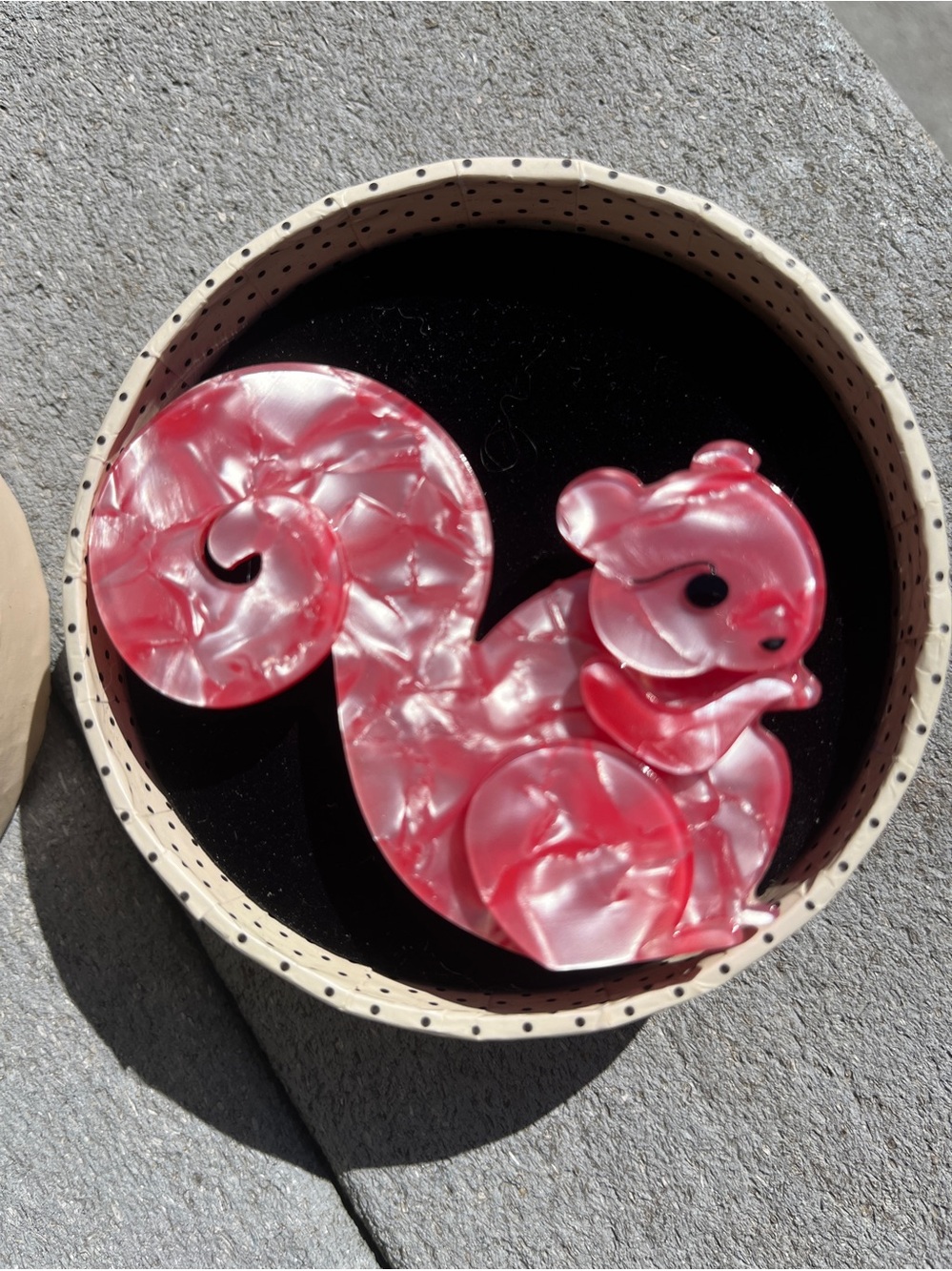 NIB Erstwilder resin Saskia Squirrel pin